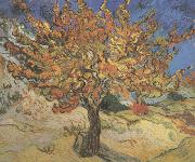 Vincent Van Gogh The Mulberry Tree (nn04) USA oil painting reproduction